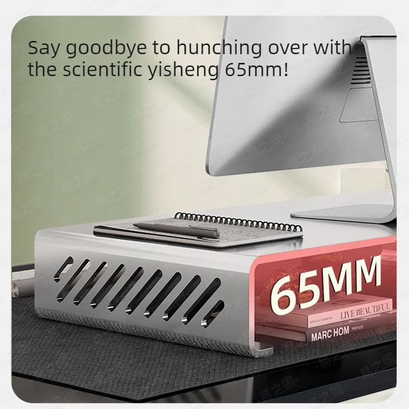 Computer Monitor Stand Riser E - Desk Setup With Laptop And Monitor ulasan dan harga