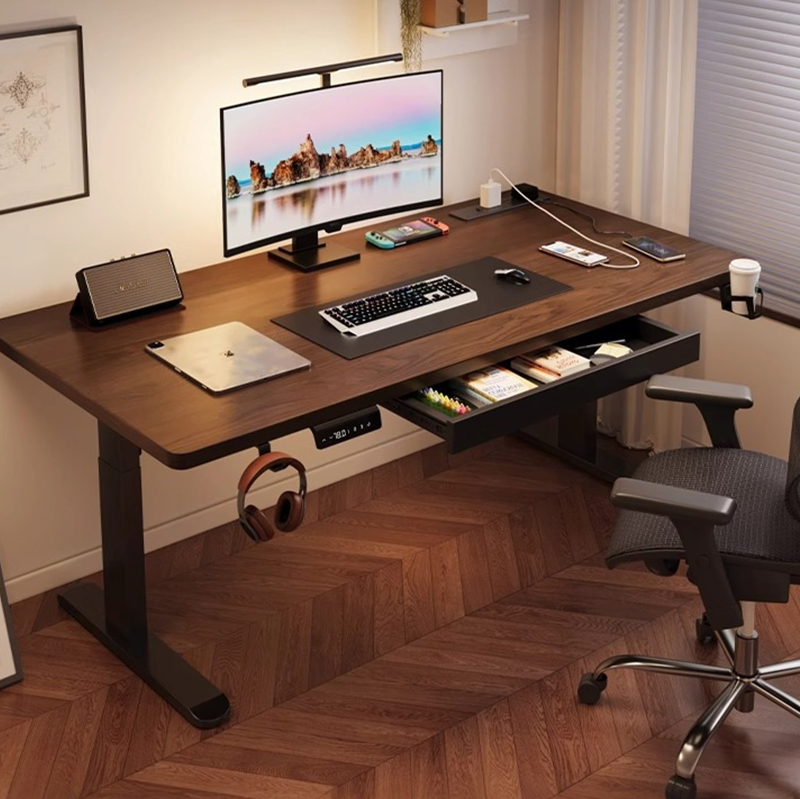 Modern Iron Dual Motor Electri - Desk Setup Home Office ulasan dan harga